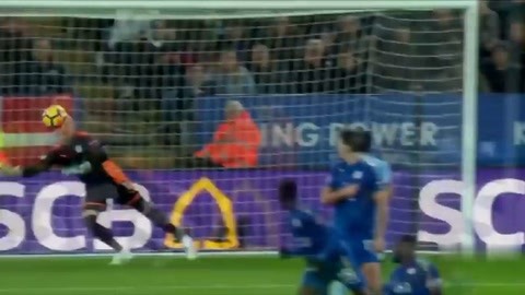 保护与未来 保护与未来